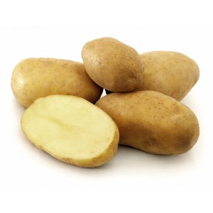Patates Blanche JUMBO Fraîche